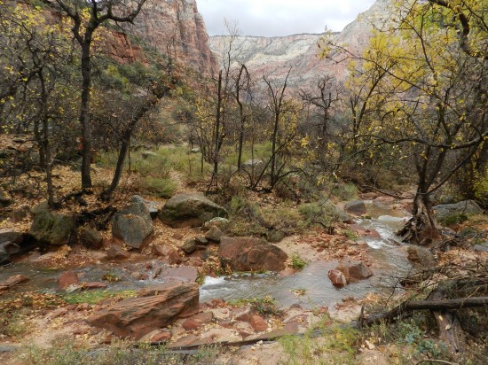 Zion National Park