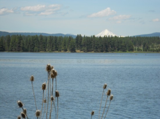 The Klamath River with Mt. McLoughlin in the distance