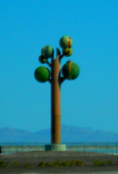 The Tree of Utah - middle of nowhere - salt flats
