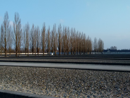 Foundations mark the placement of the barracks.