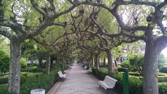 Gorgeous, isn't it? I think I'll sit on that bench and rest my feeties!