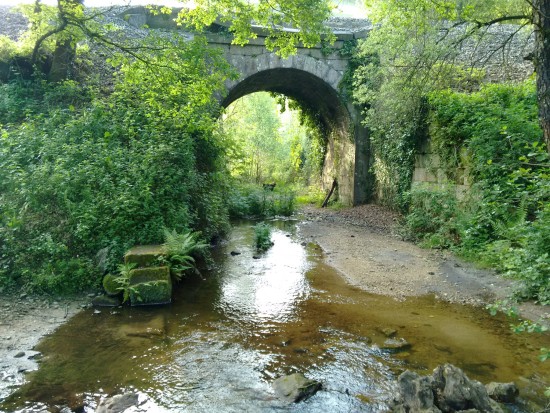 Camino de Santiago