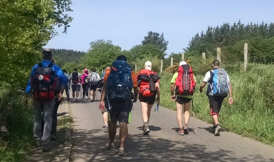 Camino de Santiago