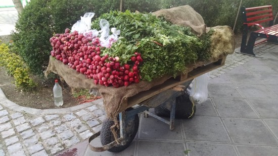 The freshest produce on a simple cart.