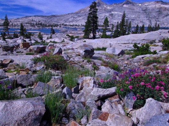 Tahoe Rim Trail