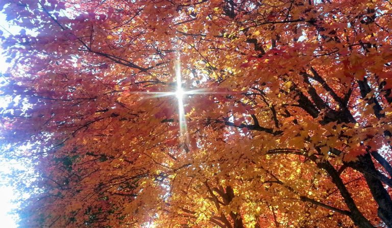 Halloween: Dia de Los Muertos - One Road at a Time