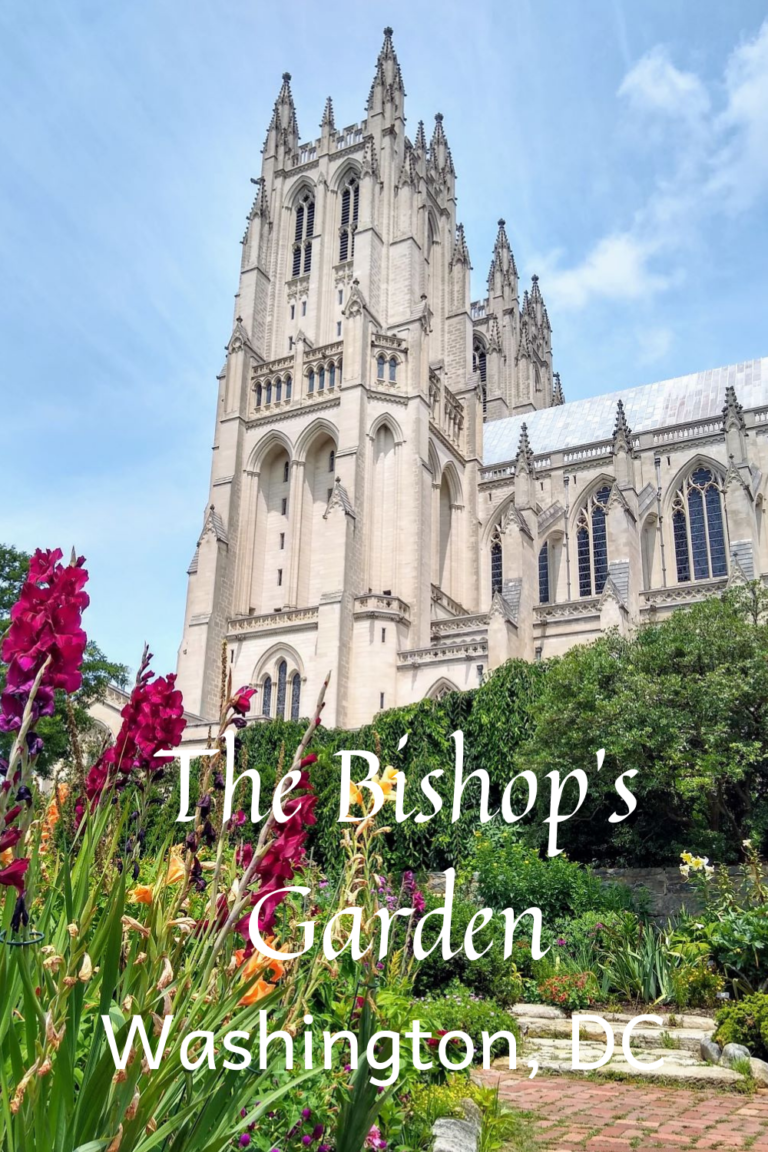 Tuesday Takes The Garden One Road at a Time