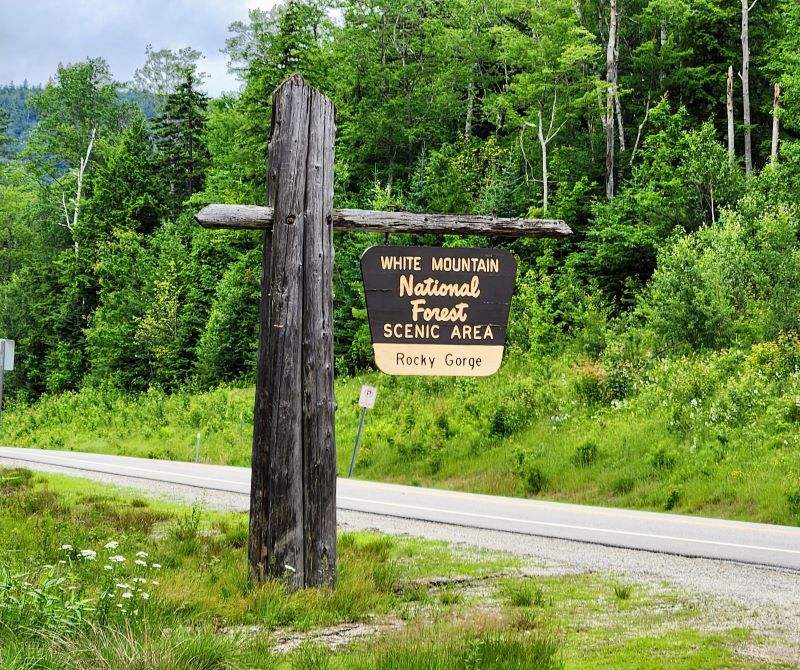 white mountain national park