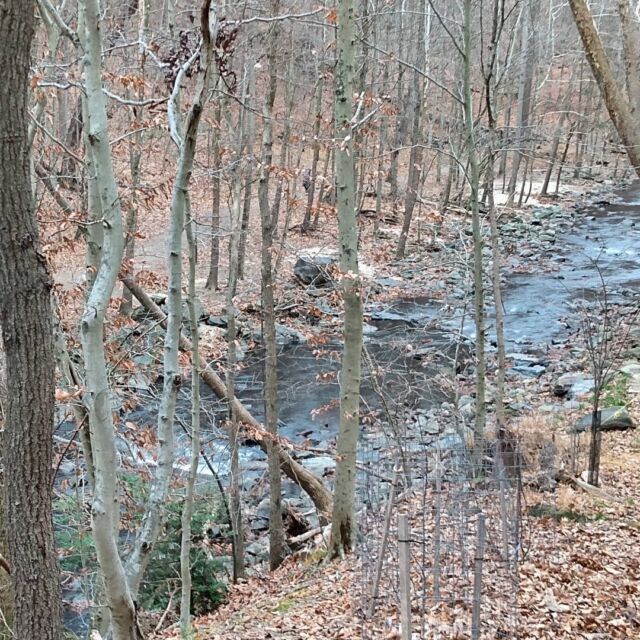 A December ramble through the woods.
# December#takeahike #gooutside #woods #stream